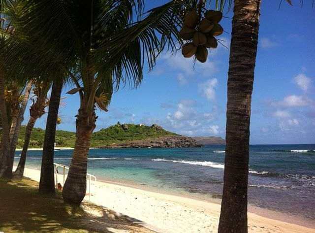Shell beach in St. Barts.