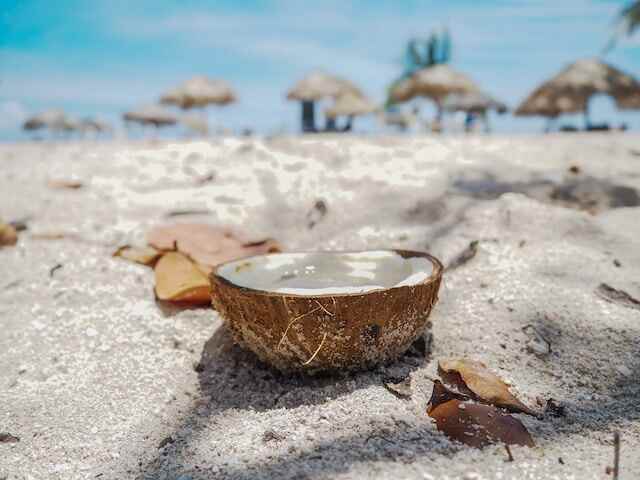 A coconut on beach sand.